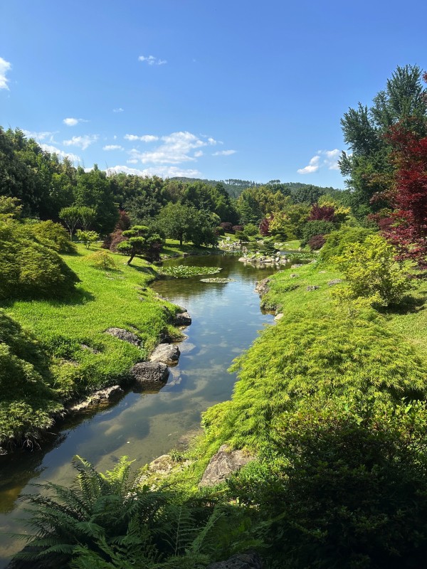 Chauffeur privé haut de gamme pour un circuit touristique sur Montpellier et sa région.